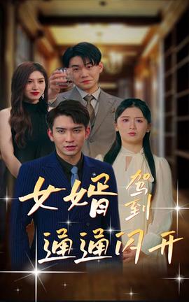 女婿駕到，通通閃開(全集)