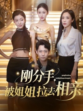 剛分手，被姐姐拉去相親(全集)