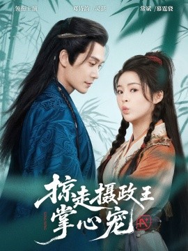 掠走攝政王掌心寵(全集)