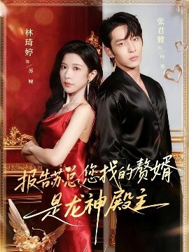 報告蘇總，您找的贊婿是龍神殿主(全集)
