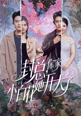 封總，你家小白花她開大了(全集)