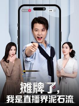 攤牌了，我是直播界泥石流(全集)