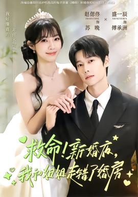 救命！新婚夜，我和姐姐走錯(cuò)了婚房(全集)