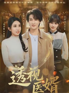 透視醫(yī)婿(全集)